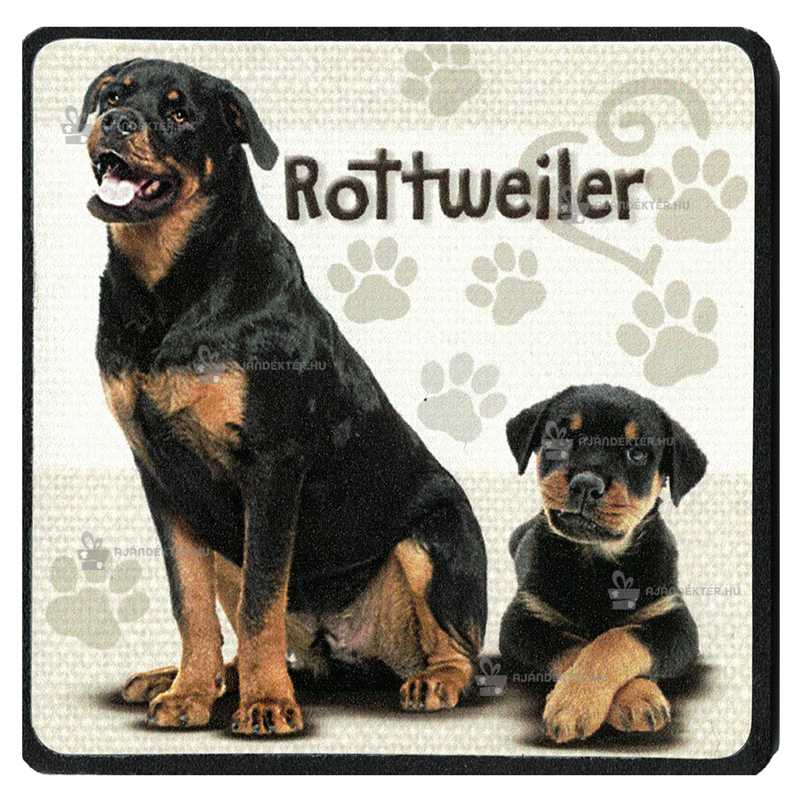 Hűtőmágnes - Rottweiler