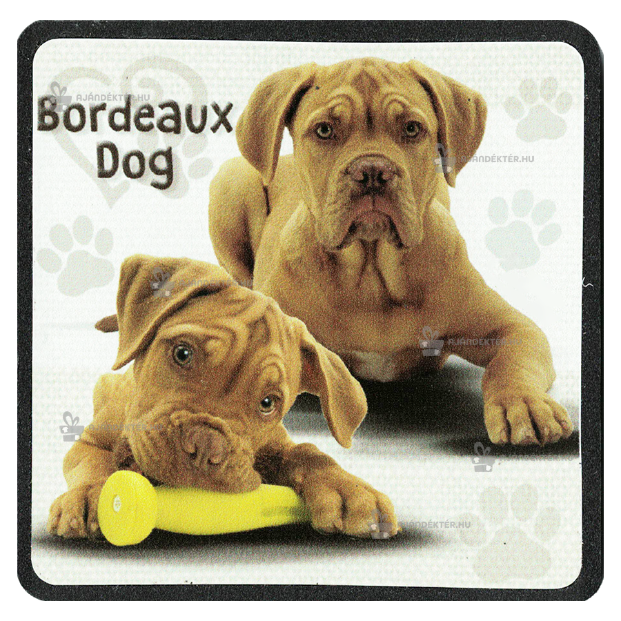 Hűtőmágnes - Bordeaux-i dog